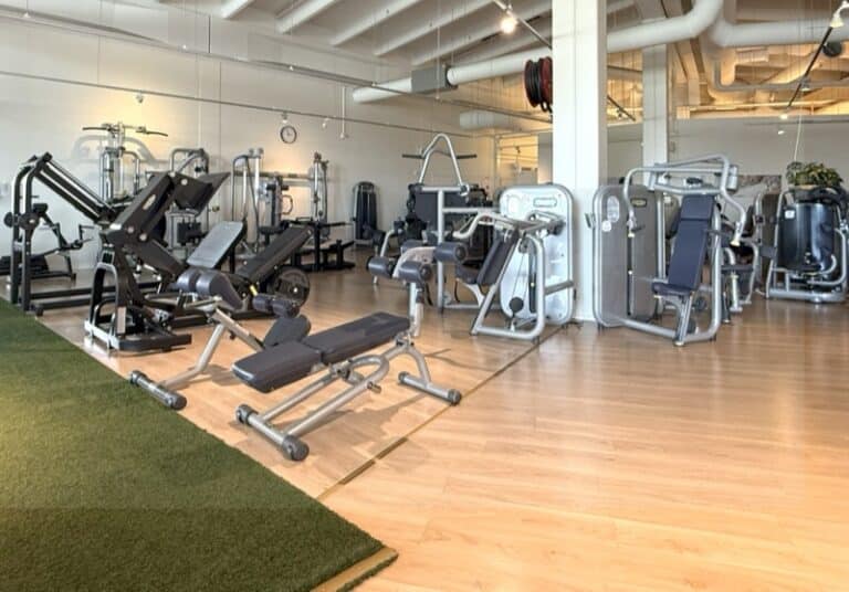 Painopakka ja vipuvarsi-800w